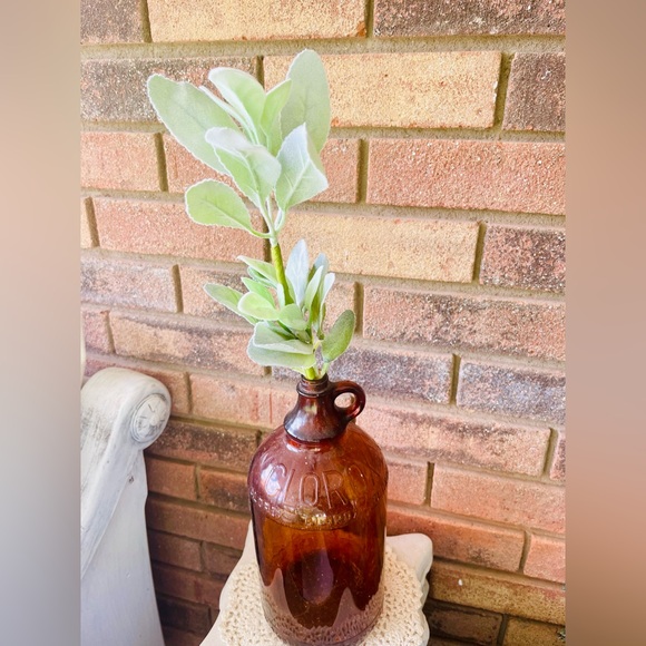 *Lamb’s Ear Pick, 13”, Bundle of 3 - Picture 7 of 13